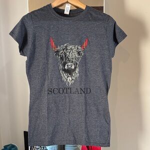 Awesome Scotland tee, with bull and tartan horns. Gray Ladies Large ladies fit